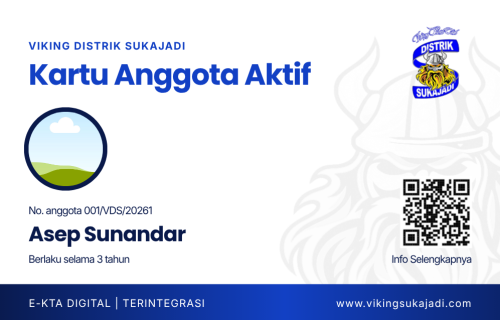 kartu ember viking persib club (2)